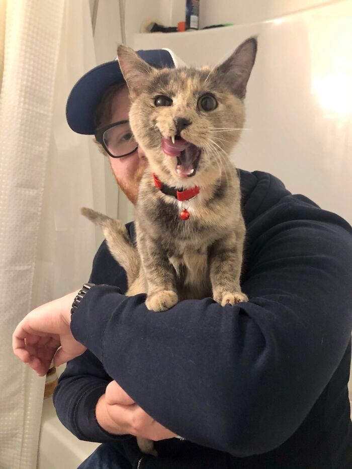 30 fotos de animais de estimação que foram adotados em maio 14