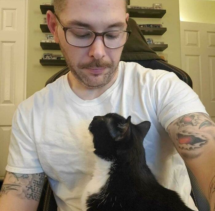 30 fotos de animais de estimação que foram adotados em maio 30