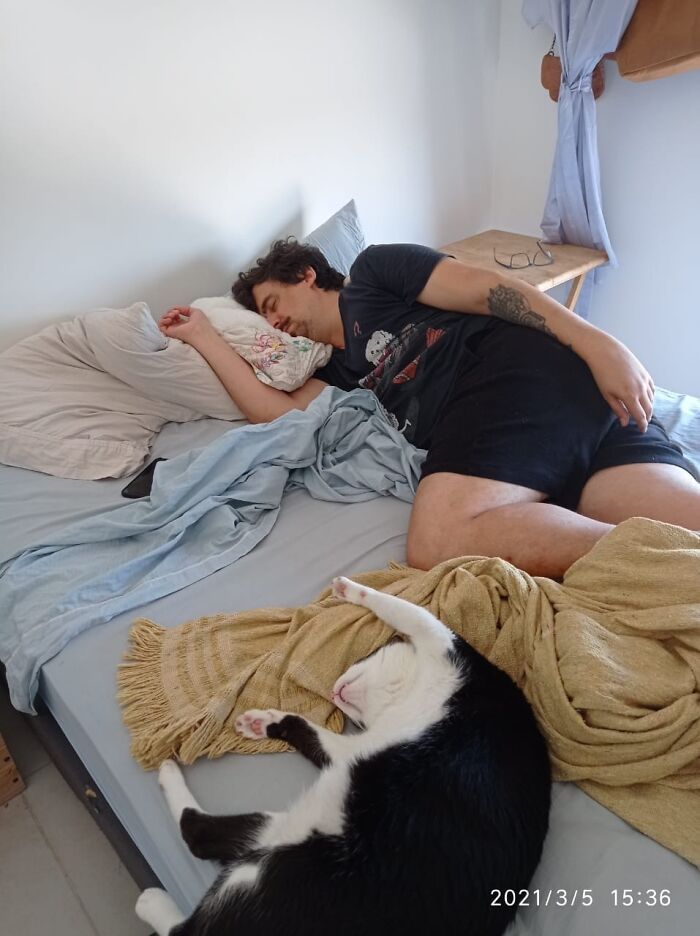 38 fotos engraçadas de gatos com defeito 22