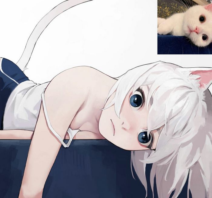 Artista japonês transforma 6 gatos em adoráveis ​​garotas de anime 5