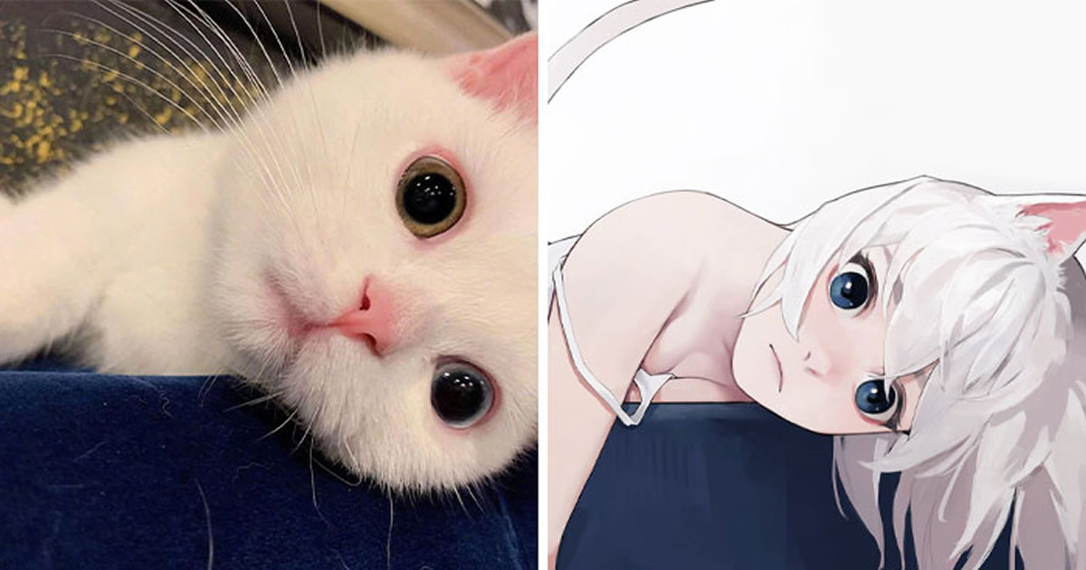 Artista japonês transforma 6 gatos em adoráveis ​​garotas de anime