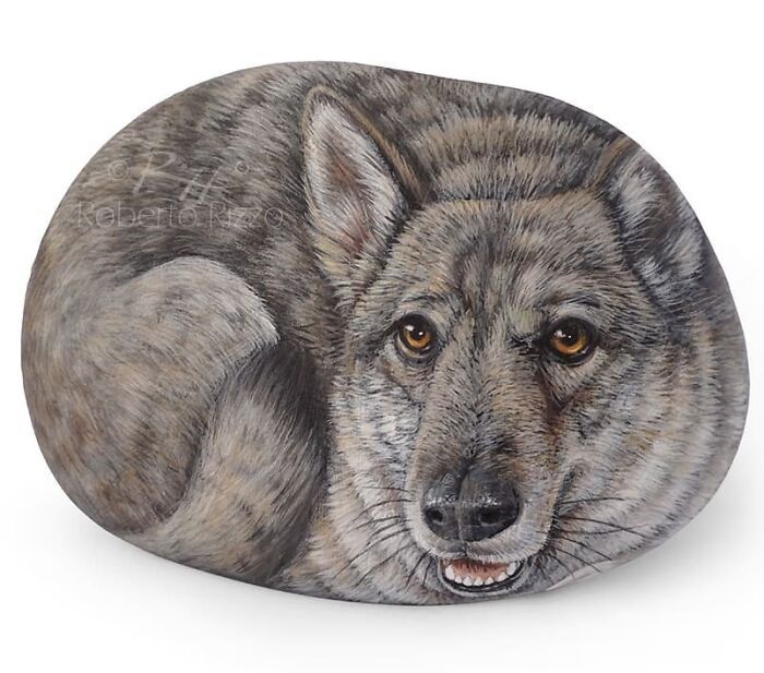 Artista transforma pedras em pinturas incríveis de animais (30 fotos) 7