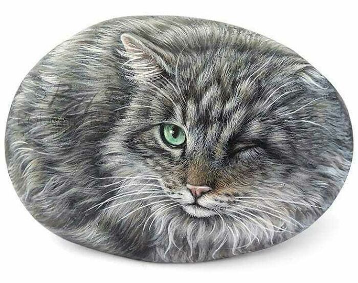 Artista transforma pedras em pinturas incríveis de animais (30 fotos) 10