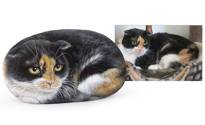 Artista transforma pedras em pinturas incríveis de animais (30 fotos) 11