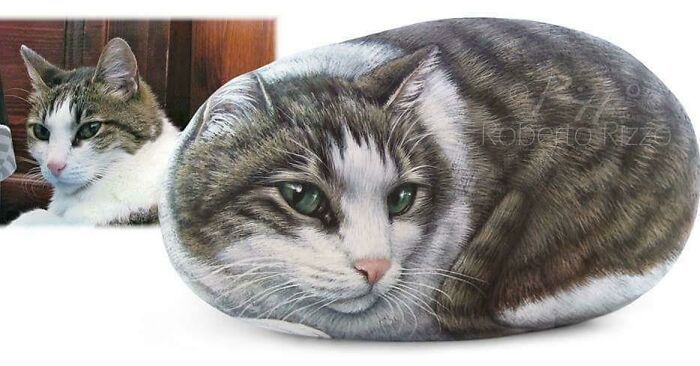 Artista transforma pedras em pinturas incríveis de animais (30 fotos) 13