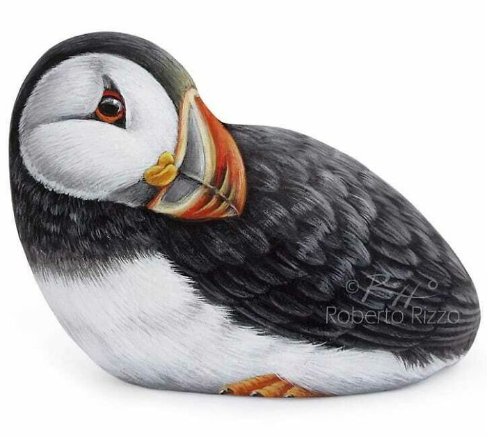 Artista transforma pedras em pinturas incríveis de animais (30 fotos) 14