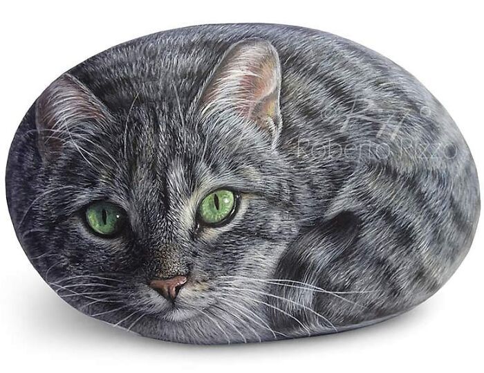 Artista transforma pedras em pinturas incríveis de animais (30 fotos) 16