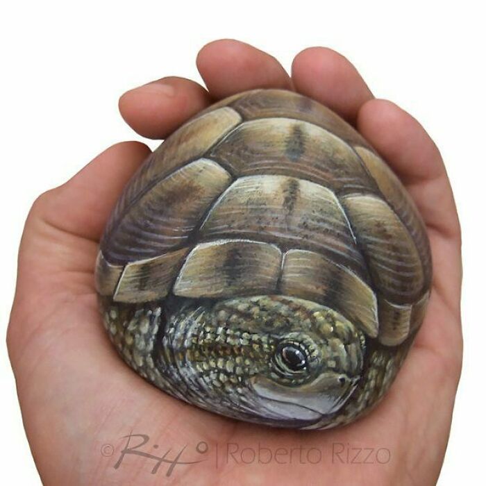 Artista transforma pedras em pinturas incríveis de animais (30 fotos) 17