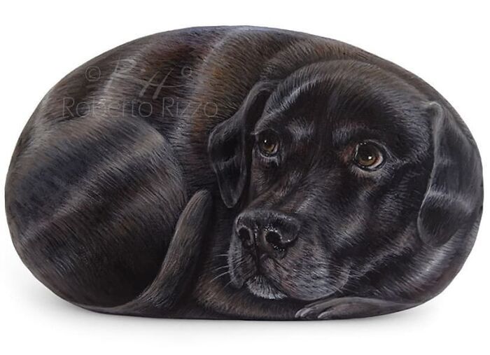 Artista transforma pedras em pinturas incríveis de animais (30 fotos) 30