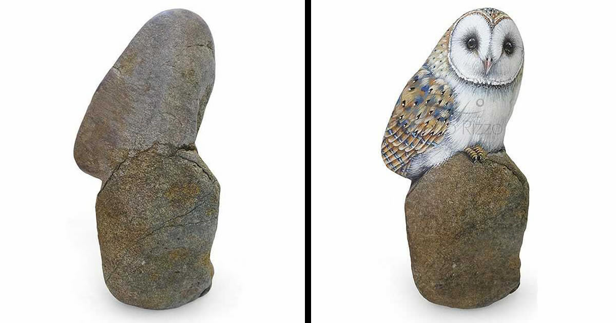 Artista transforma pedras em pinturas incríveis de animais (30 fotos)