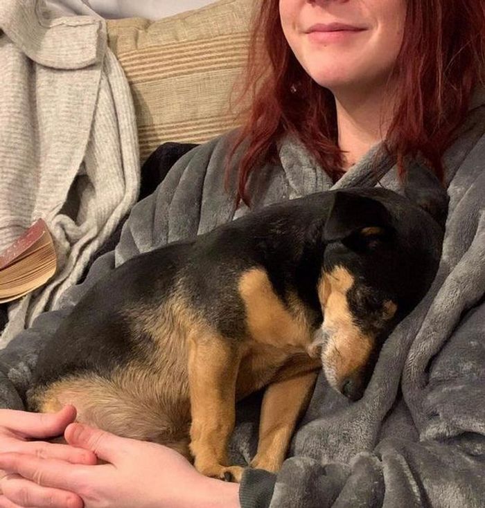 25 bichinhos fofos que simplesmente não conseguem viver sem seus humanos 11