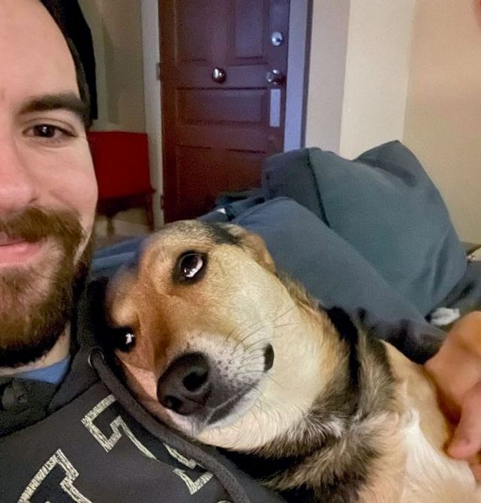 25 bichinhos fofos que simplesmente não conseguem viver sem seus humanos 25