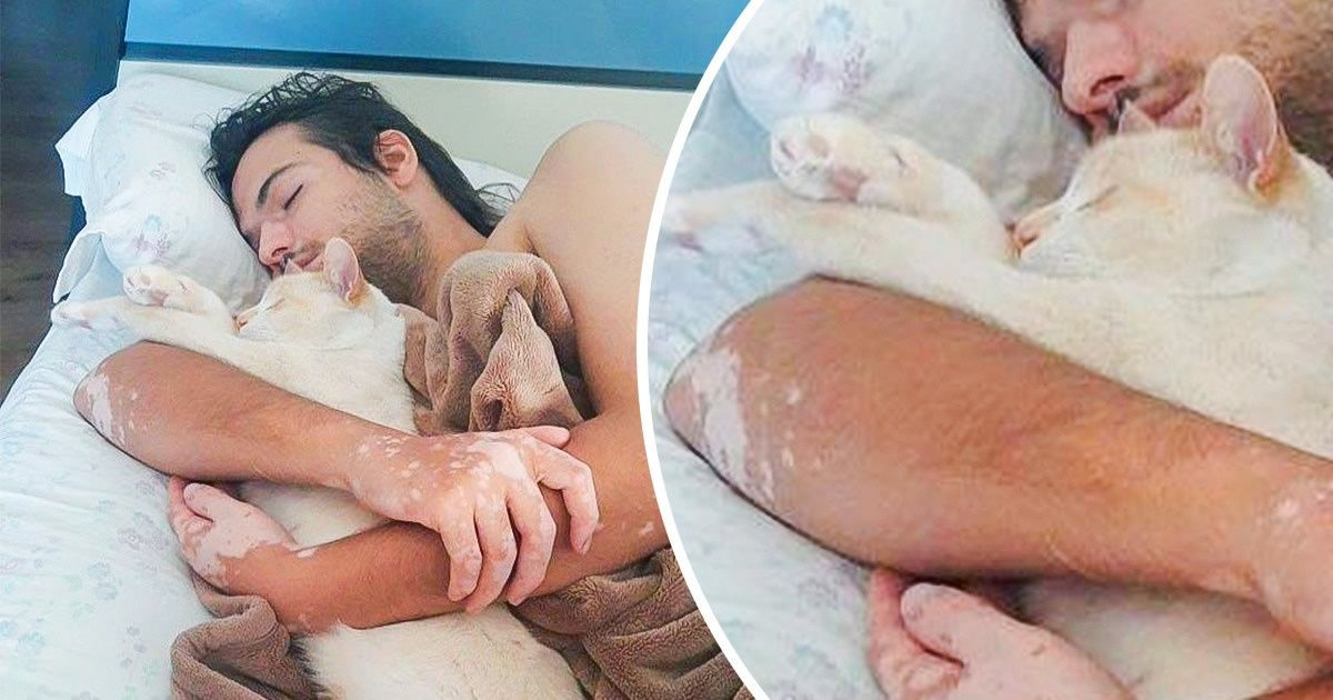 25 bichinhos fofos que simplesmente não conseguem viver sem seus humanos