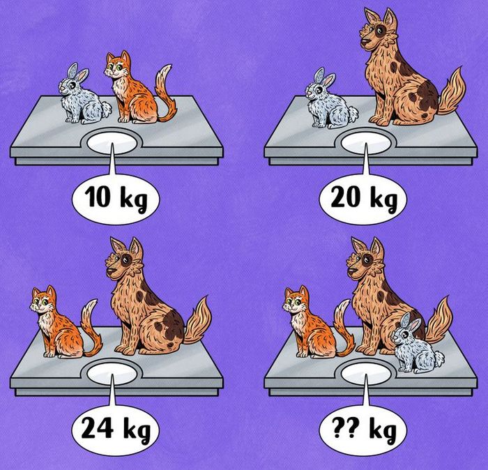 14 charadas divertidas para desafiar o seu cérebro e exercitar o raciocínio 25