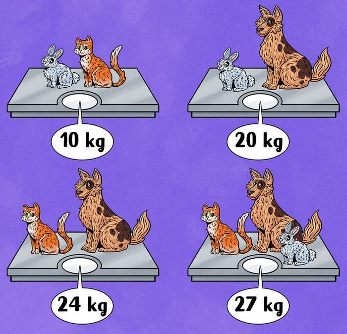 14 charadas divertidas para desafiar o seu cérebro e exercitar o raciocínio 26