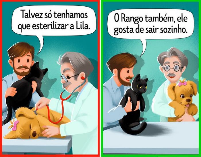9 curiosidades sobre castração de cachorros e gatos 2