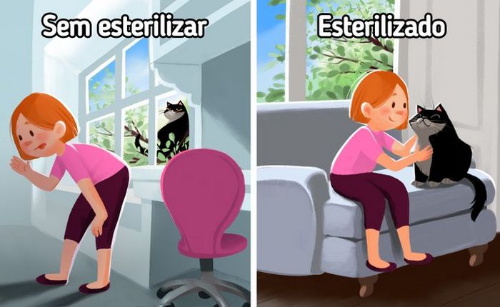 9 curiosidades sobre castração de cachorros e gatos 4