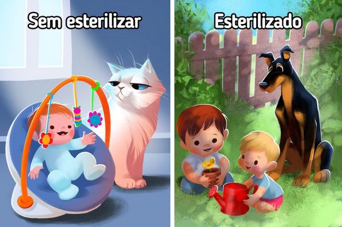 9 curiosidades sobre castração de cachorros e gatos 8