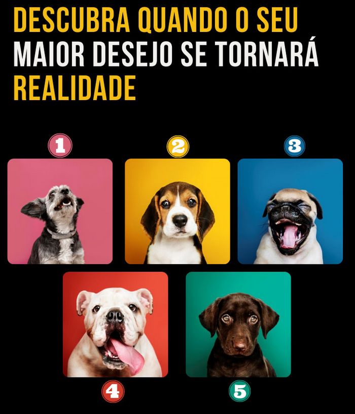 Descubra quando o seu maior desejo se tornará realidade 1