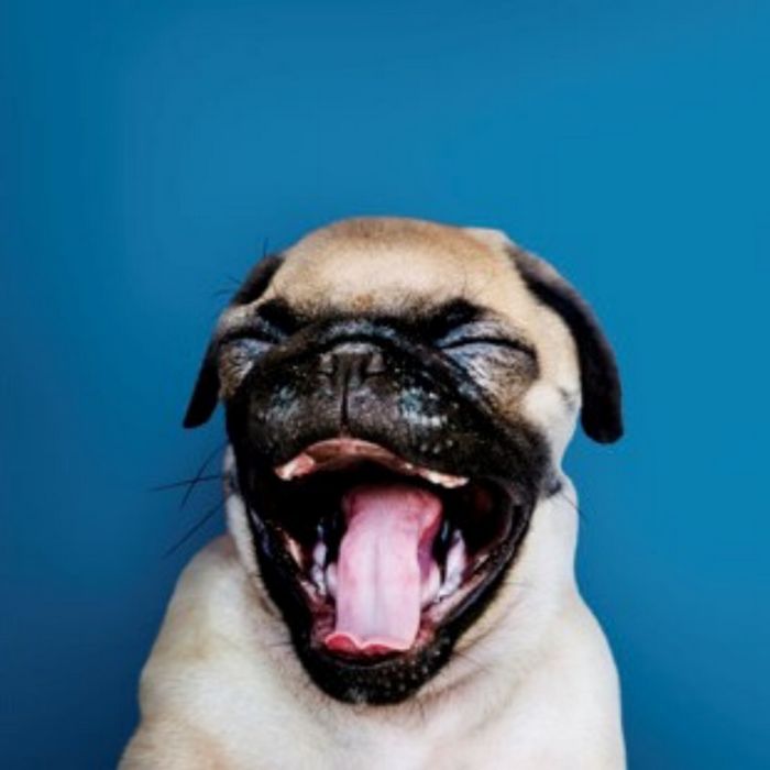 Descubra quando o seu maior desejo se tornará realidade 4