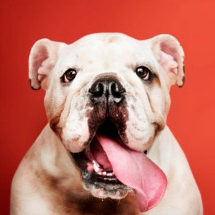 Descubra quando o seu maior desejo se tornará realidade 5