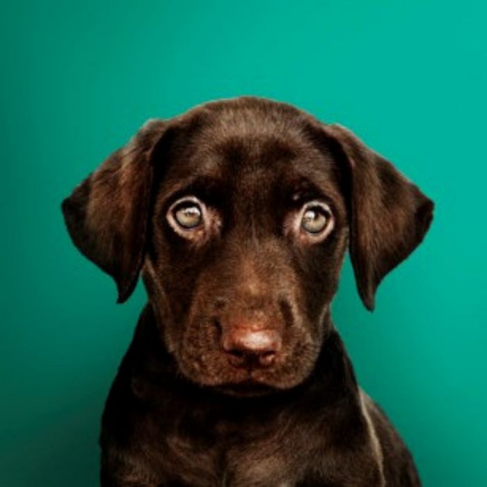 Descubra quando o seu maior desejo se tornará realidade 6