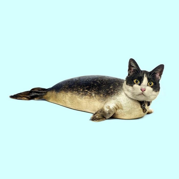 Esta agência de design transforma animais, plantas e outras coisas em imagens surreais usando o Photoshop (48 fotos) 2