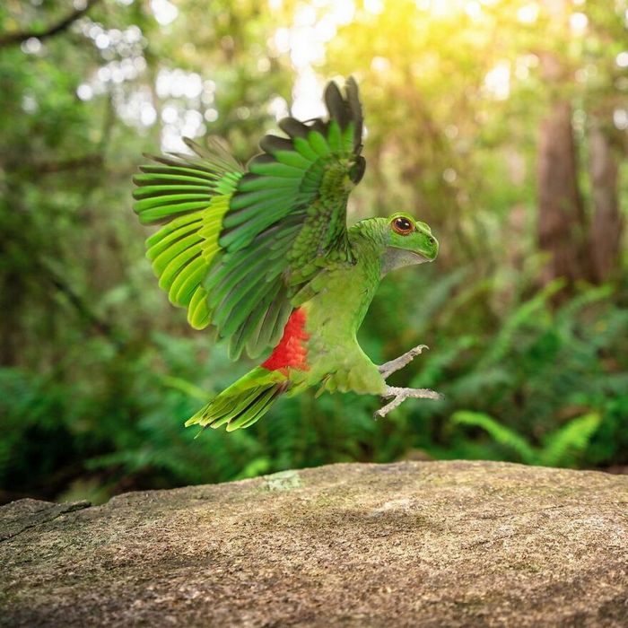 Esta agência de design transforma animais, plantas e outras coisas em imagens surreais usando o Photoshop (48 fotos) 4