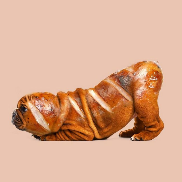 Esta agência de design transforma animais, plantas e outras coisas em imagens surreais usando o Photoshop (48 fotos) 5