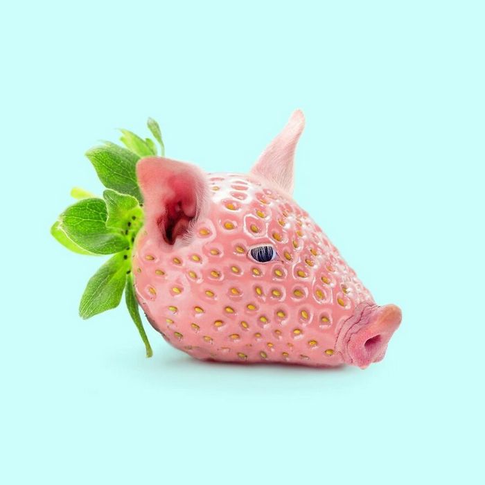 Esta agência de design transforma animais, plantas e outras coisas em imagens surreais usando o Photoshop (48 fotos) 7