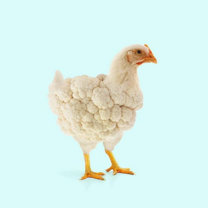 Esta agência de design transforma animais, plantas e outras coisas em imagens surreais usando o Photoshop (48 fotos) 8