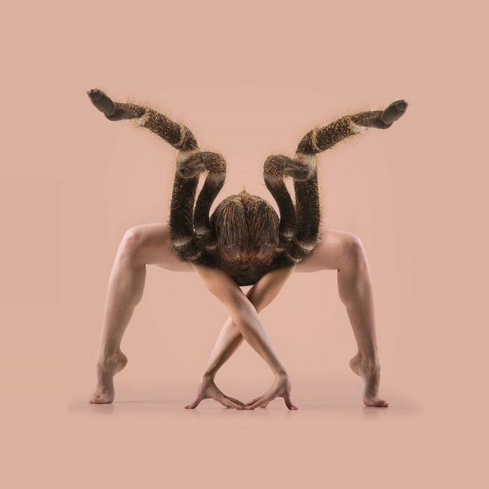 Esta agência de design transforma animais, plantas e outras coisas em imagens surreais usando o Photoshop (48 fotos) 12