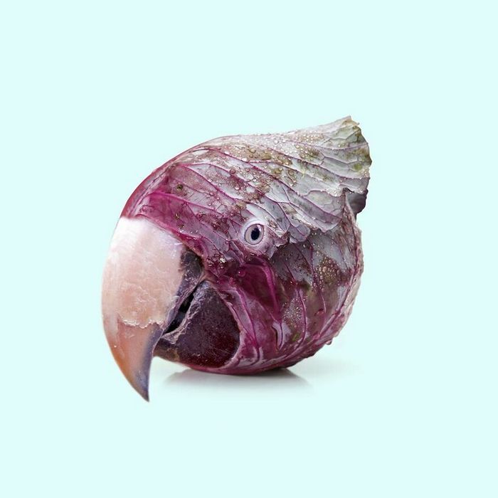 Esta agência de design transforma animais, plantas e outras coisas em imagens surreais usando o Photoshop (48 fotos) 16