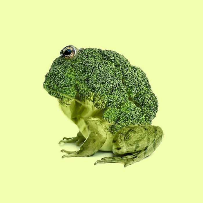 Esta agência de design transforma animais, plantas e outras coisas em imagens surreais usando o Photoshop (48 fotos) 18