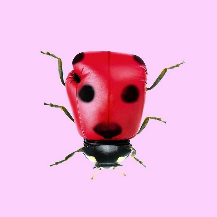 Esta agência de design transforma animais, plantas e outras coisas em imagens surreais usando o Photoshop (48 fotos) 19