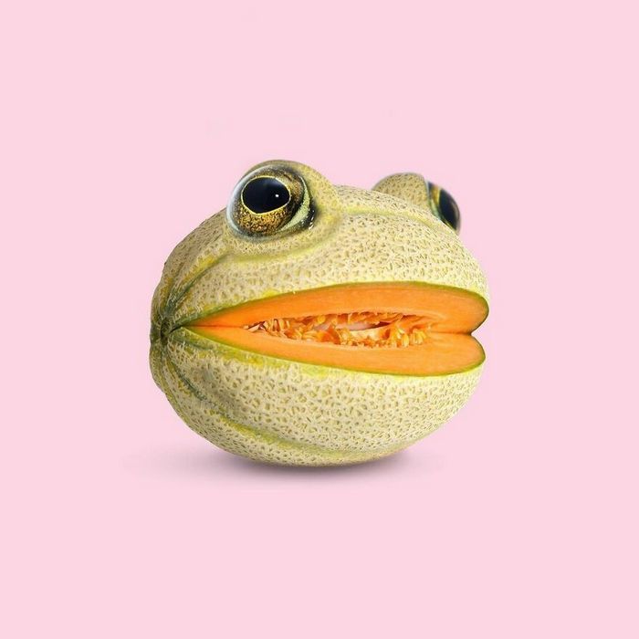 Esta agência de design transforma animais, plantas e outras coisas em imagens surreais usando o Photoshop (48 fotos) 22