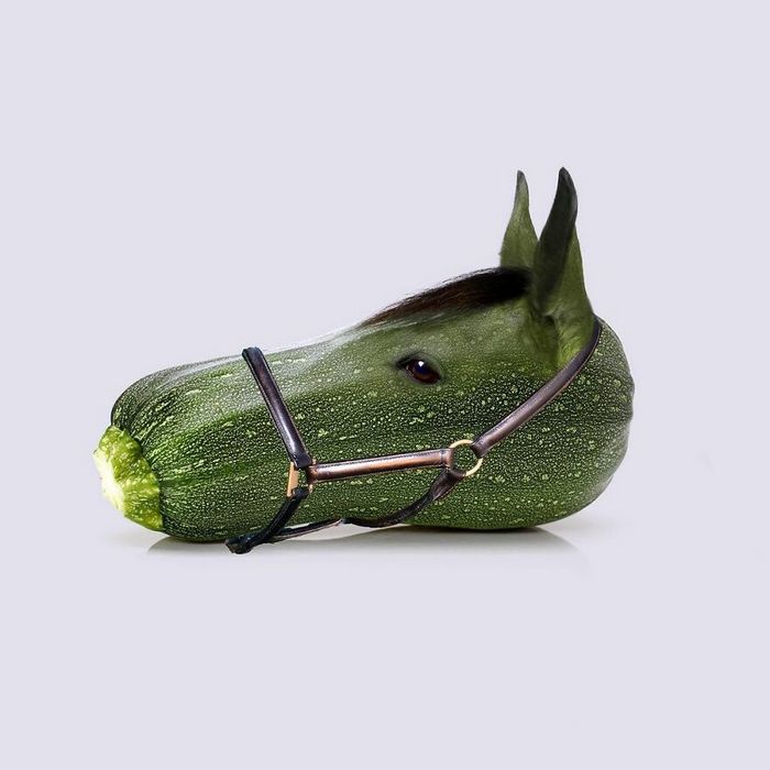 Esta agência de design transforma animais, plantas e outras coisas em imagens surreais usando o Photoshop (48 fotos) 26