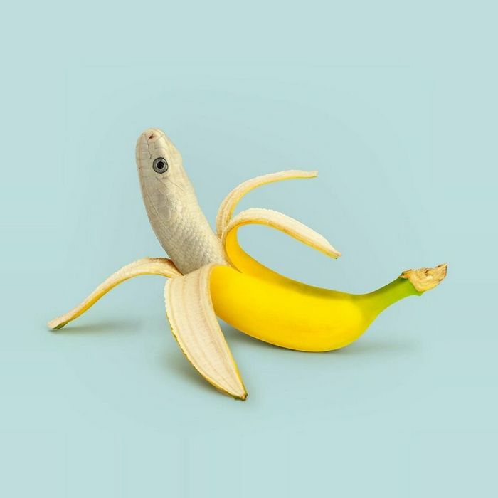 Esta agência de design transforma animais, plantas e outras coisas em imagens surreais usando o Photoshop (48 fotos) 28