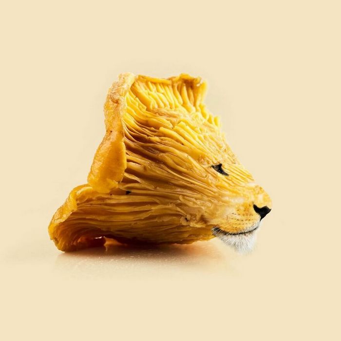 Esta agência de design transforma animais, plantas e outras coisas em imagens surreais usando o Photoshop (48 fotos) 29