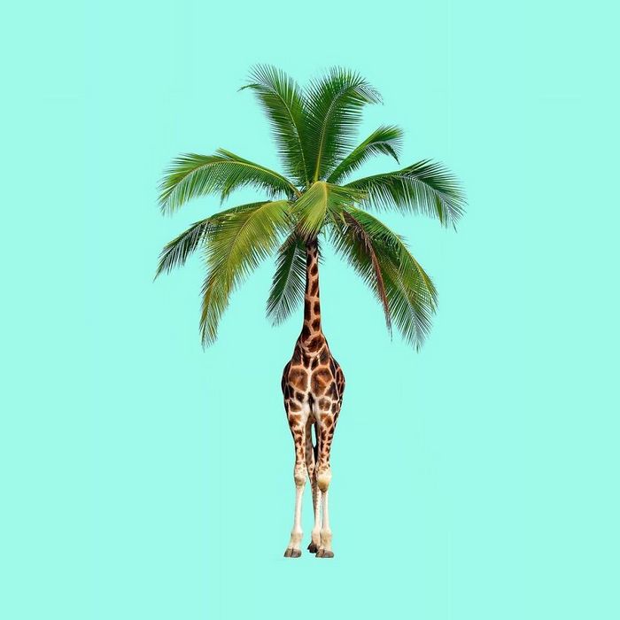 Esta agência de design transforma animais, plantas e outras coisas em imagens surreais usando o Photoshop (48 fotos) 31