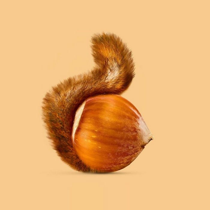 Esta agência de design transforma animais, plantas e outras coisas em imagens surreais usando o Photoshop (48 fotos) 32