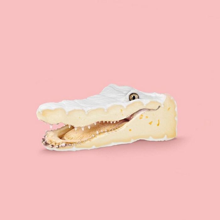 Esta agência de design transforma animais, plantas e outras coisas em imagens surreais usando o Photoshop (48 fotos) 35