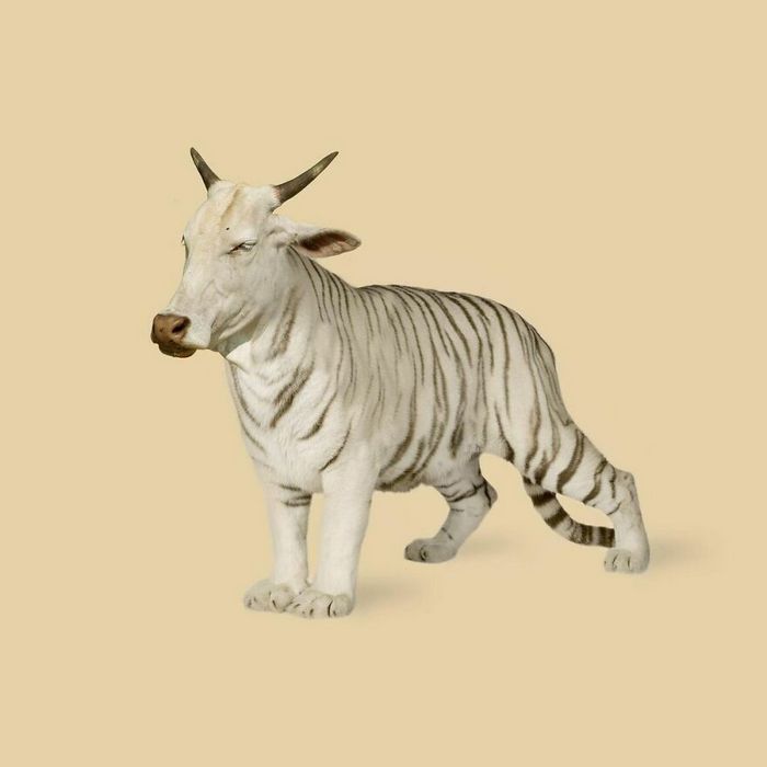 Esta agência de design transforma animais, plantas e outras coisas em imagens surreais usando o Photoshop (48 fotos) 39