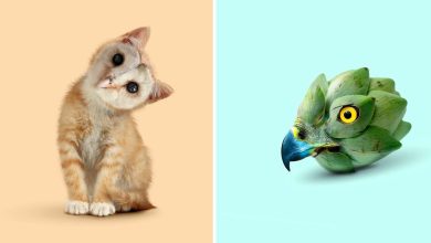 Esta agência de design transforma animais, plantas e outras coisas em imagens surreais usando o Photoshop (48 fotos) 38