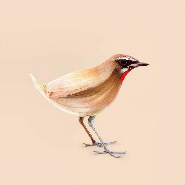 Esta agência de design transforma animais, plantas e outras coisas em imagens surreais usando o Photoshop (48 fotos) 40