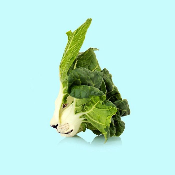 Esta agência de design transforma animais, plantas e outras coisas em imagens surreais usando o Photoshop (48 fotos) 42