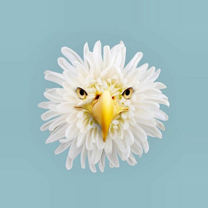 Esta agência de design transforma animais, plantas e outras coisas em imagens surreais usando o Photoshop (48 fotos) 46