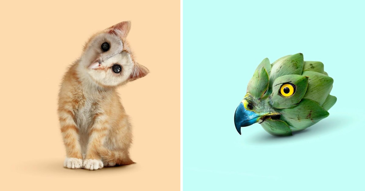 Esta agência de design transforma animais, plantas e outras coisas em imagens surreais usando o Photoshop (48 fotos)