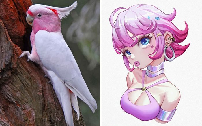 Este artista usa animais como inspiração para criar personagens originais de anime (23 fotos) 15