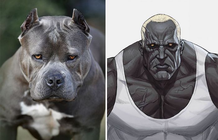 Este artista usa animais como inspiração para criar personagens originais de anime (23 fotos) 20